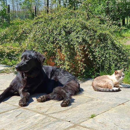 Il Casolare Del Medio Olona Bed and Breakfast Fagnano Olona Εξωτερικό φωτογραφία