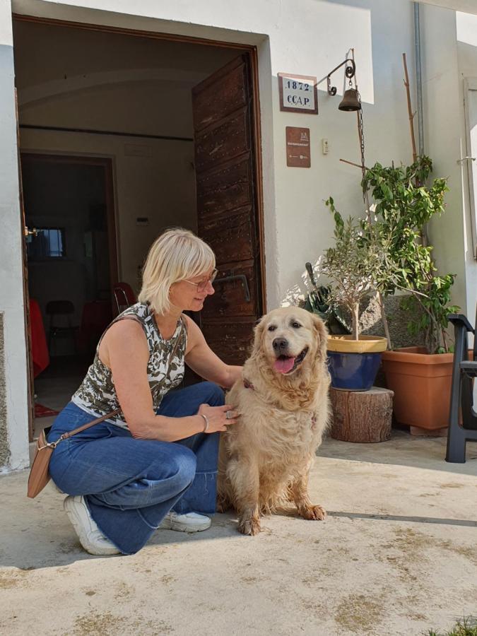 Il Casolare Del Medio Olona Bed and Breakfast Fagnano Olona Εξωτερικό φωτογραφία