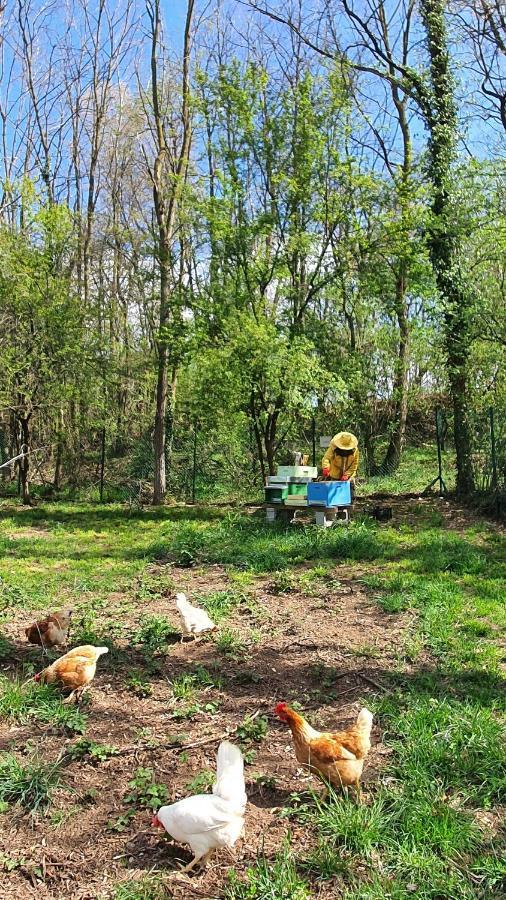 Il Casolare Del Medio Olona Bed and Breakfast Fagnano Olona Εξωτερικό φωτογραφία