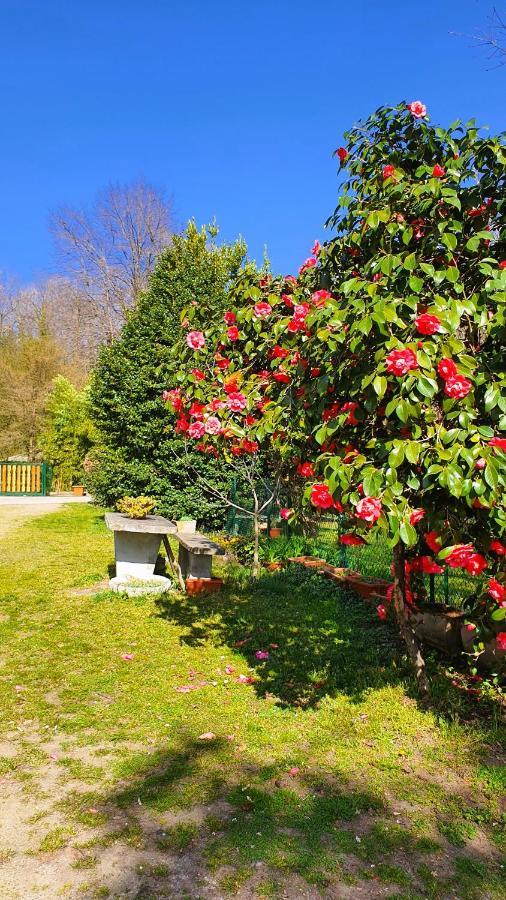 Il Casolare Del Medio Olona Bed and Breakfast Fagnano Olona Εξωτερικό φωτογραφία