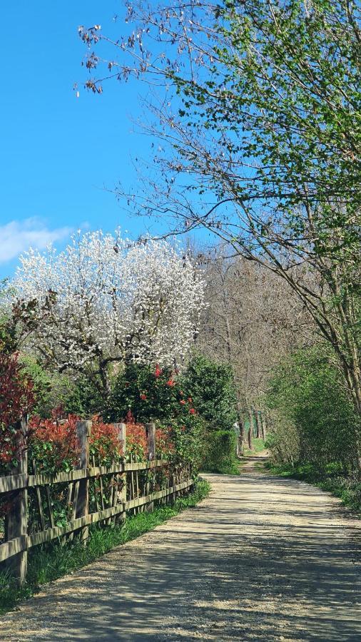 Il Casolare Del Medio Olona Bed and Breakfast Fagnano Olona Εξωτερικό φωτογραφία